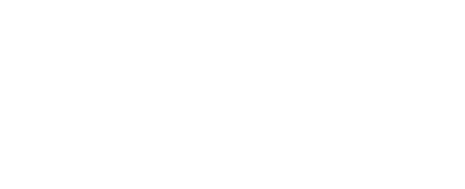 Sotera Strategies